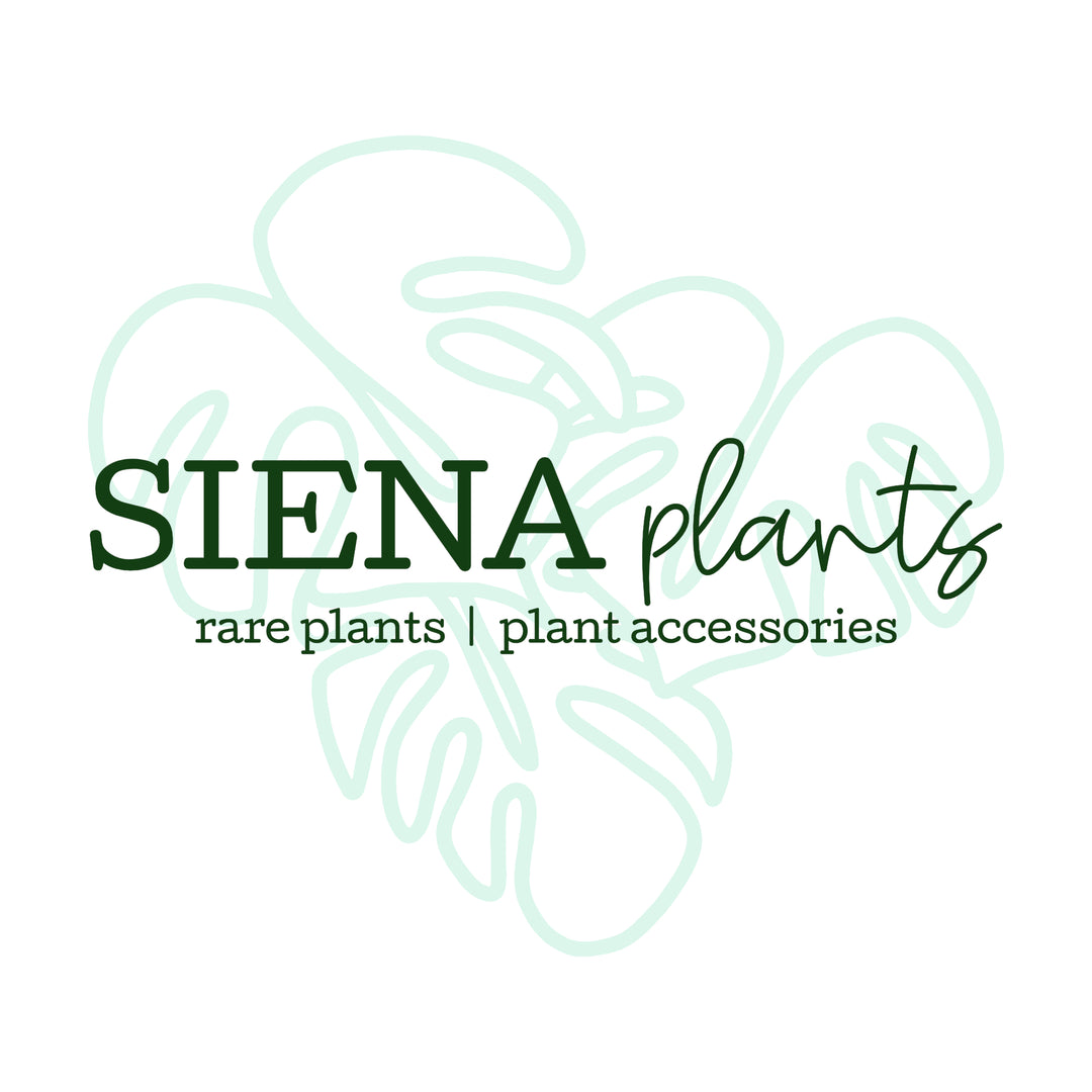 Siena Plants eGift Certificate